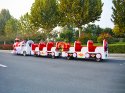 Amusement Park Trackless Train