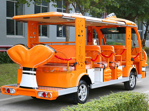 Clownfish Electric Sightseeing Car cost